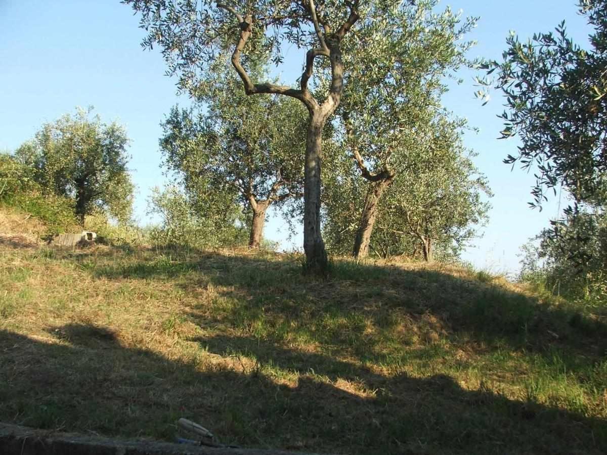 La Casetta Di Sofia Villa Moneglia Exterior foto