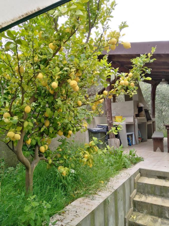 La Casetta Di Sofia Villa Moneglia Exterior foto